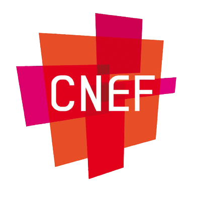 logo-cnef-2010-couleur
